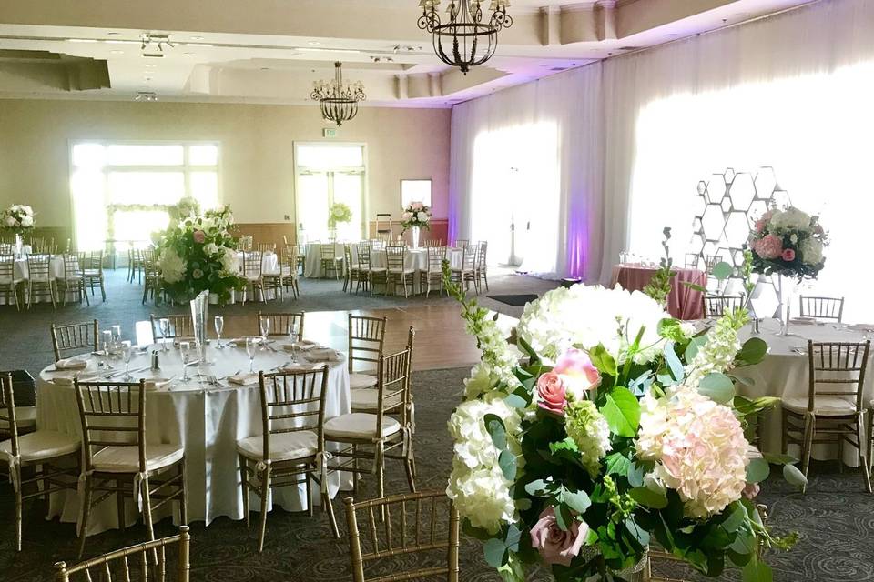 Infuse Designs Lighting & Draping Decor