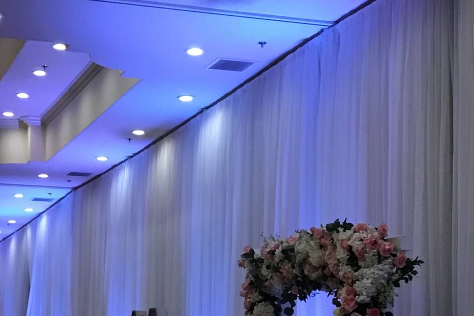 Infuse Designs Lighting & Draping Decor