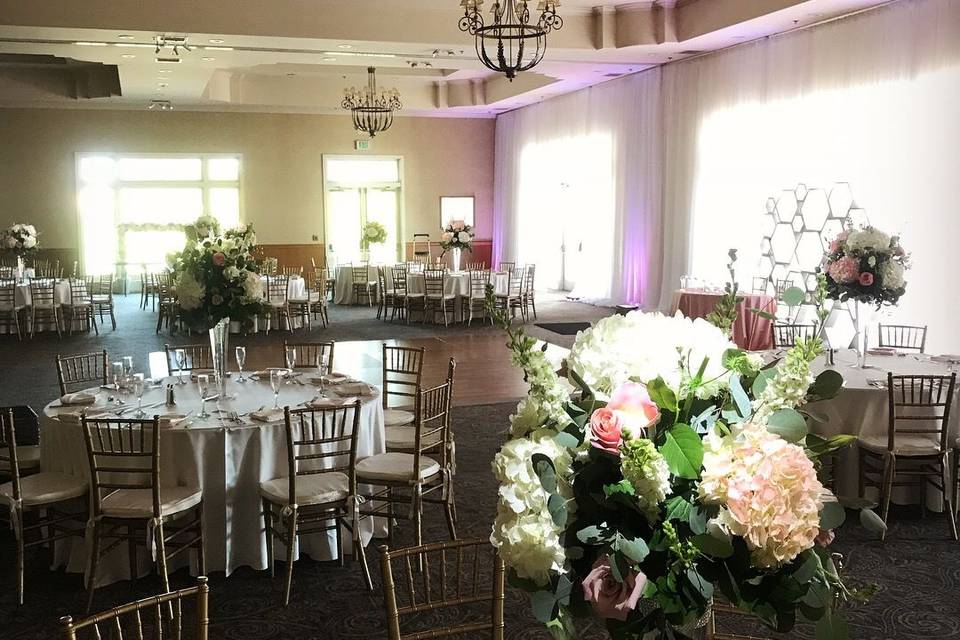 Infuse Designs Lighting & Draping Decor