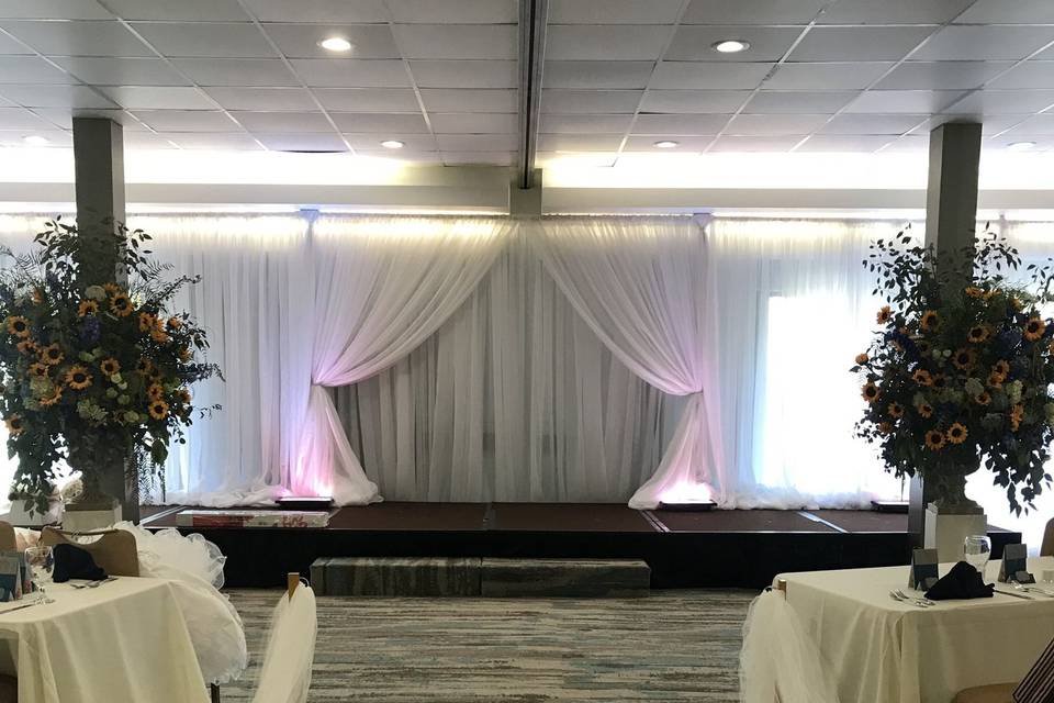 Infuse Designs Lighting & Draping Decor