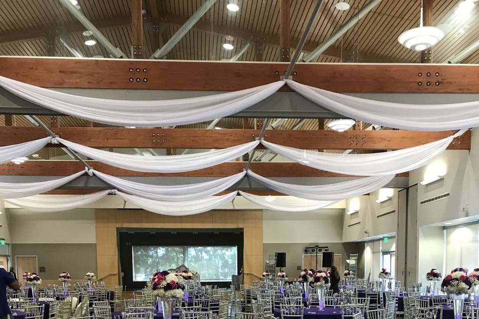 Infuse Designs Lighting & Draping Decor