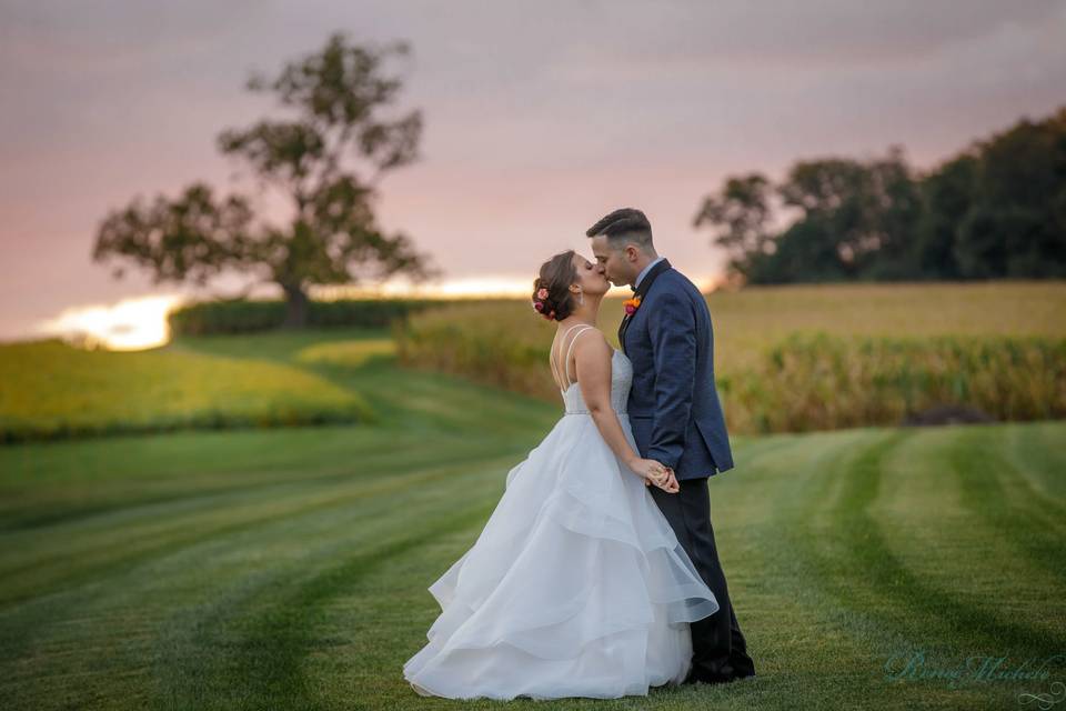 Couple kiss in an open field