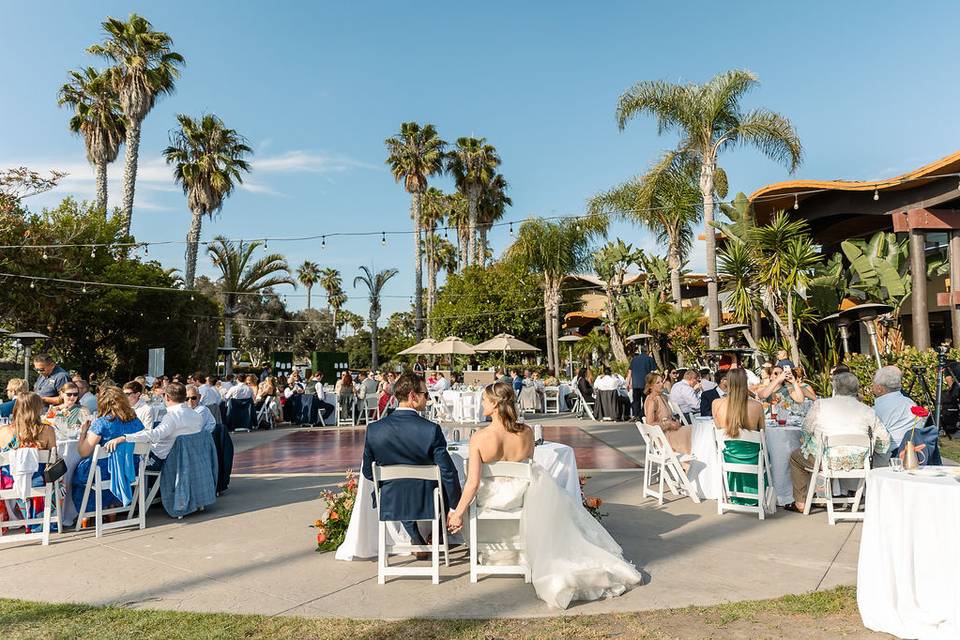 Paradise Terrace