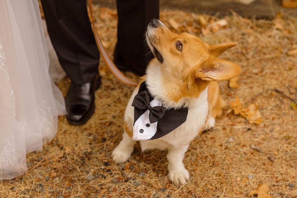 Wedding Souvenir