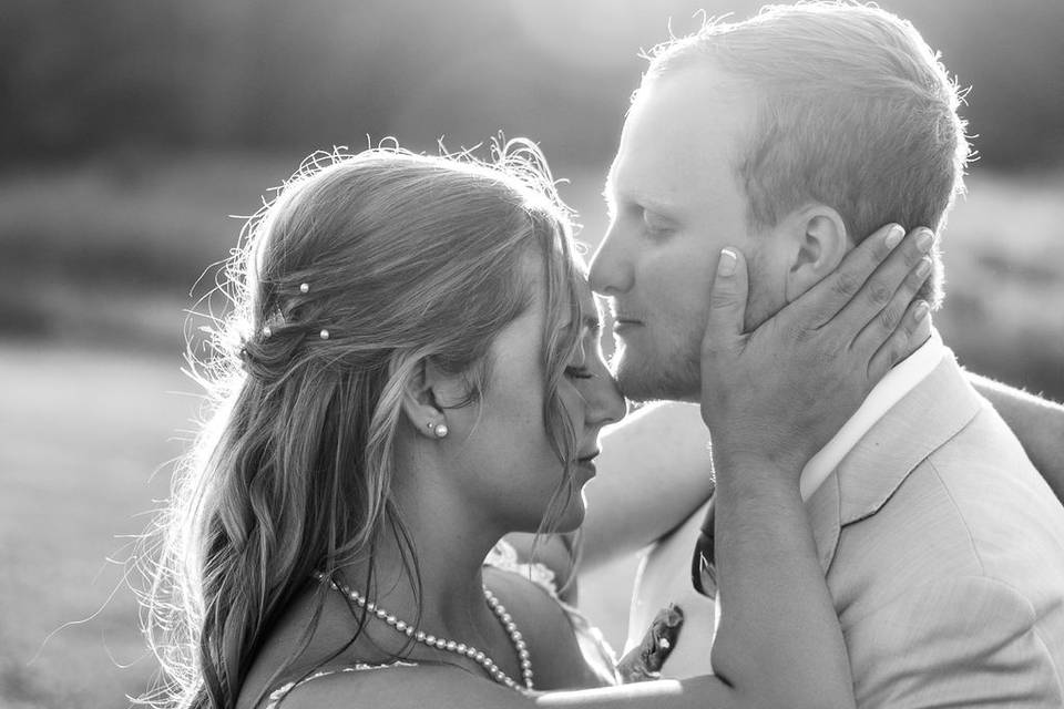 Sara Haines Photography