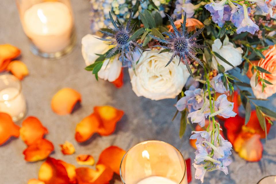 Sara Haines Photography