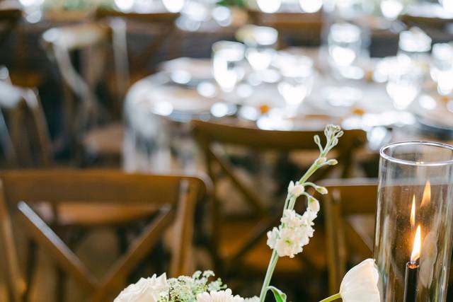 Table Scape