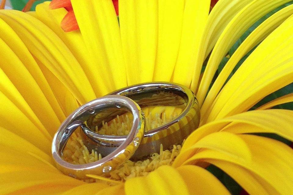Flower and rings
