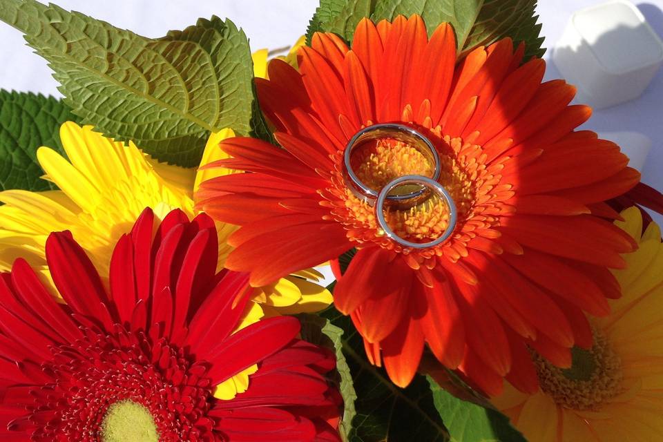 Flowers and rings