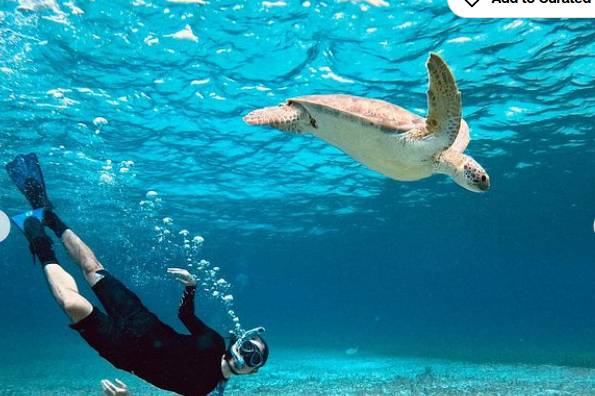 Go Far VIP Travel Honeymoon
