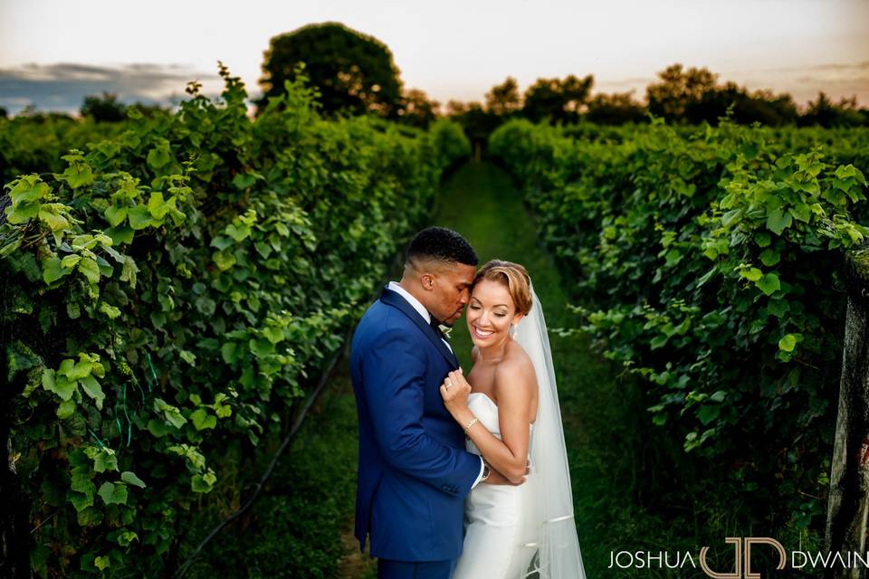 Love in the vineyard