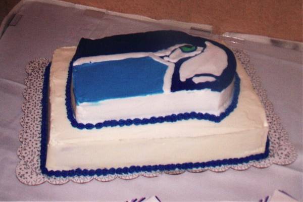 Seattle Seahawks Groom Cake