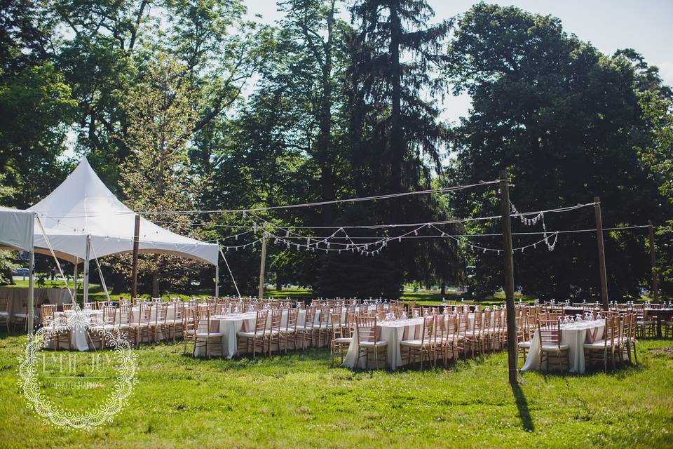 Outdoor reception setup