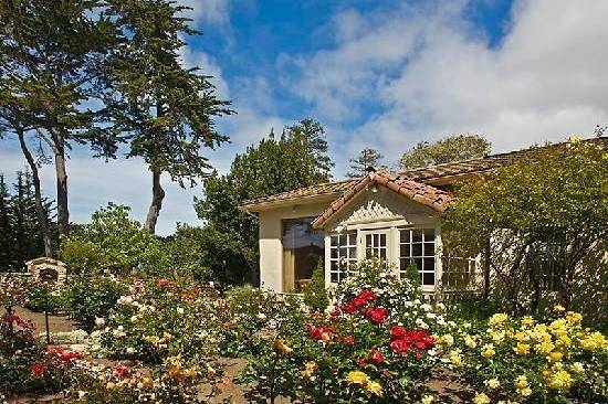 Rose Garden