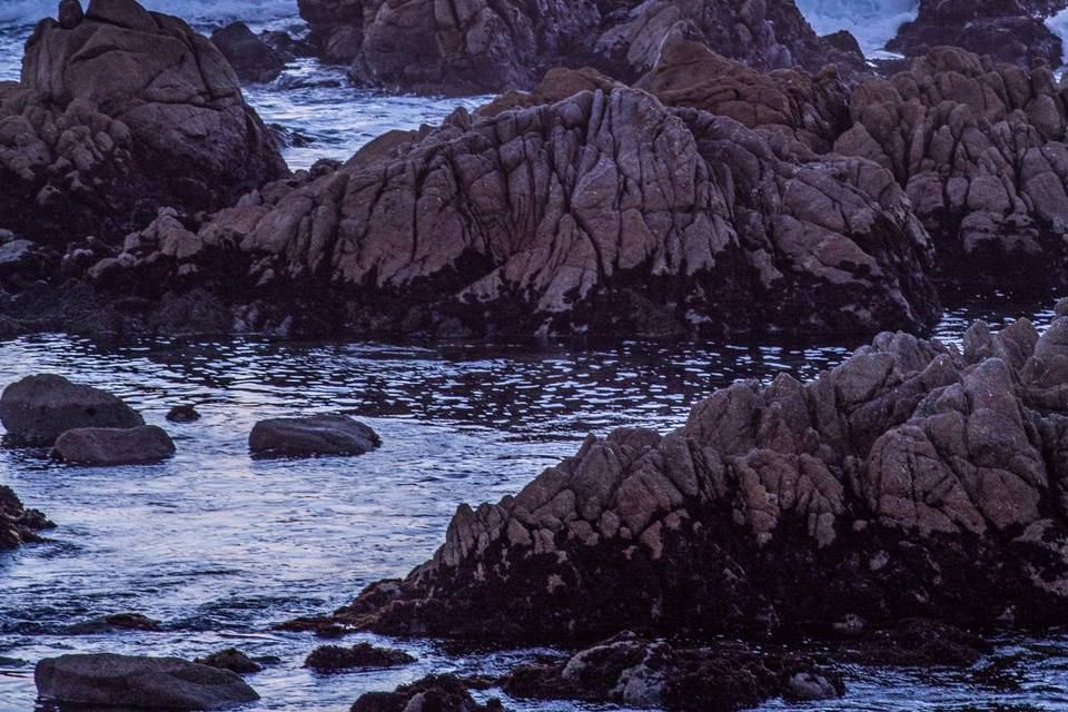 Monterey Bay Photography