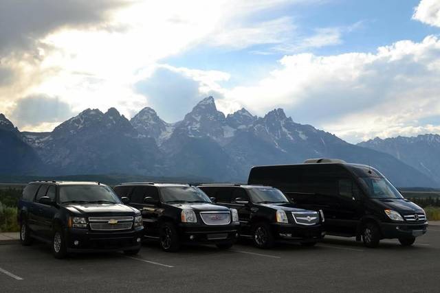 TETON LIMOUSINE SERVICES LLC