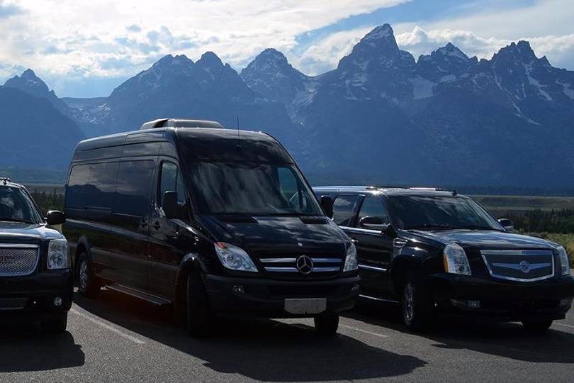 TETON LIMOUSINE SERVICES LLC