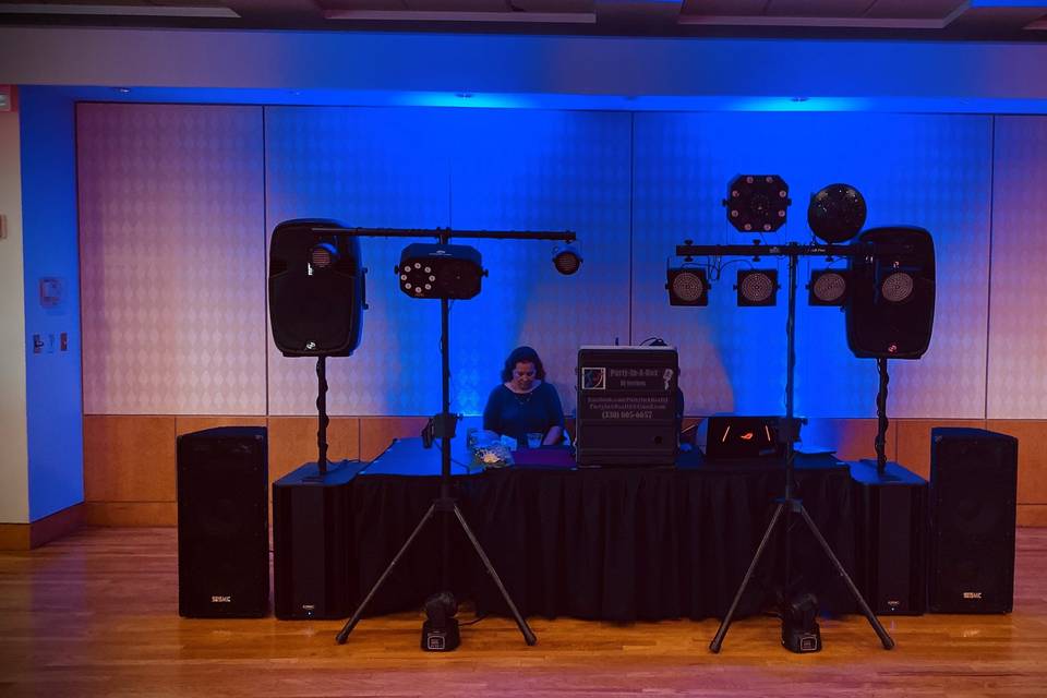 Party-In-A-Box DJ Services