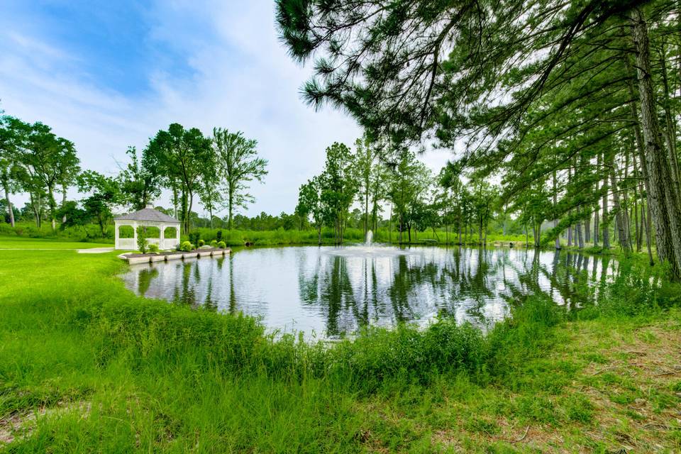 Pond