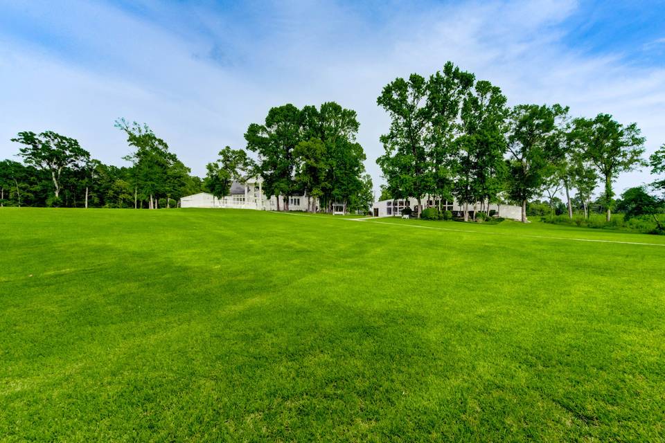 Back yard