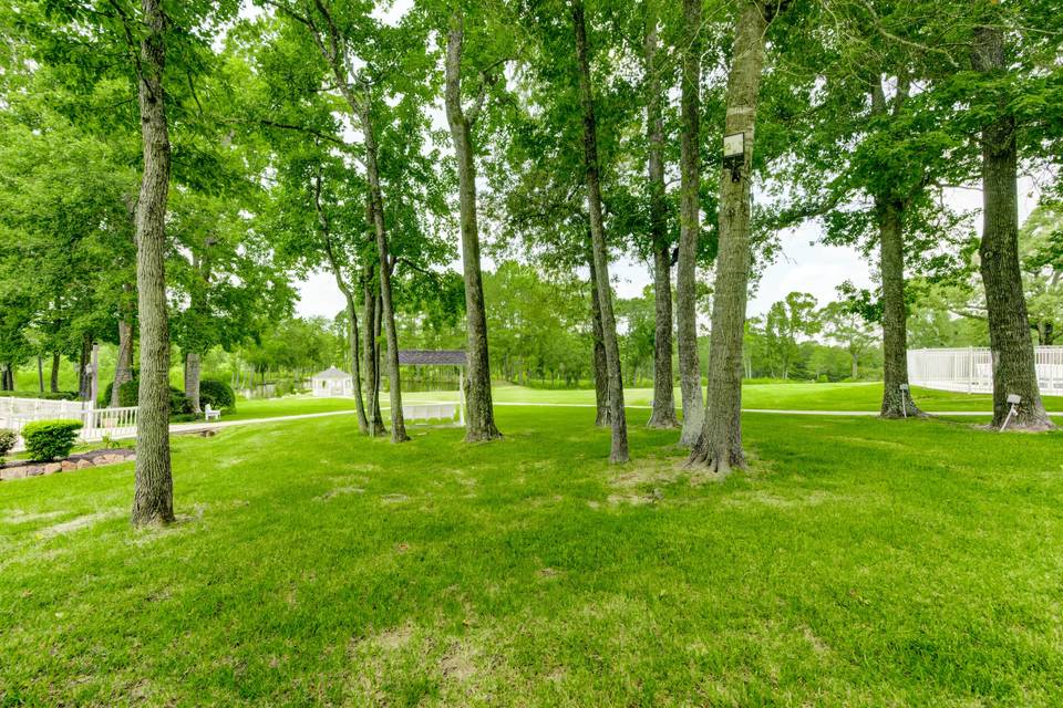 Back yard