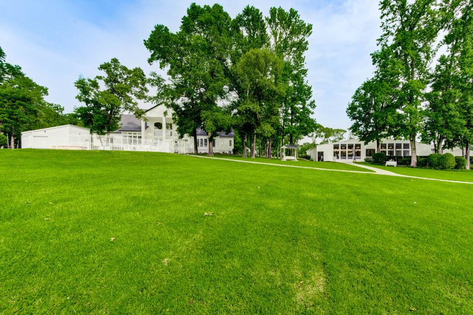 Back yard