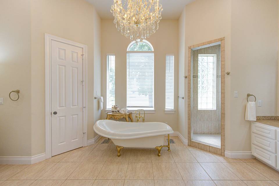 Downstairs Master Bath