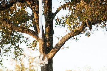 Outdoor ceremony