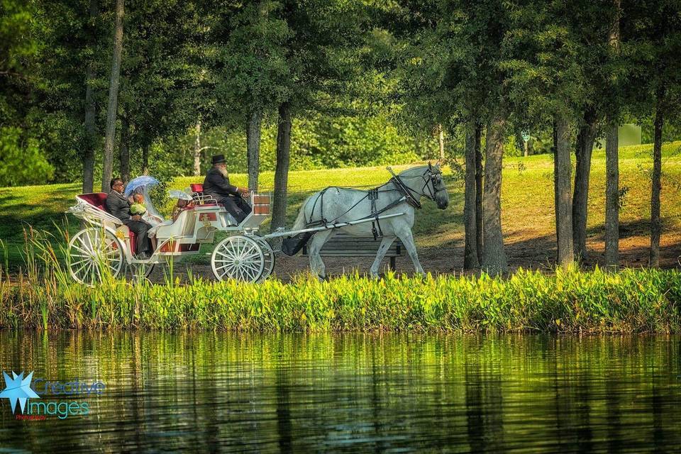 Carriage ride around park