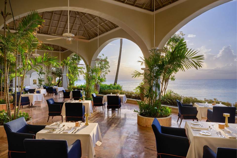 Palm Terrace