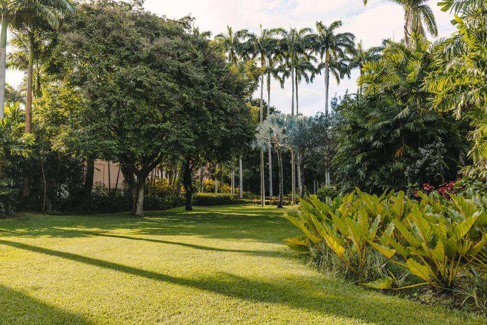 Tropical Gardens