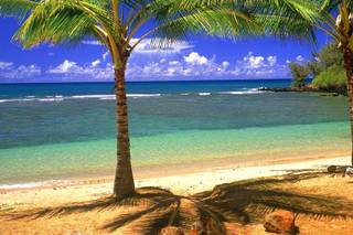 Travel Ventures LLC