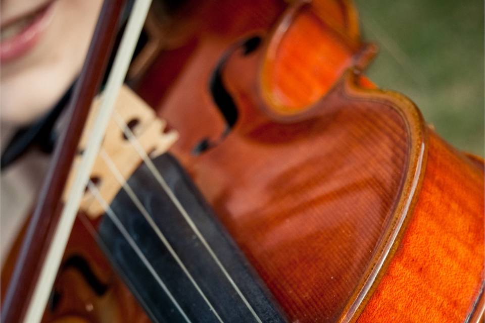 Closeup of the violin