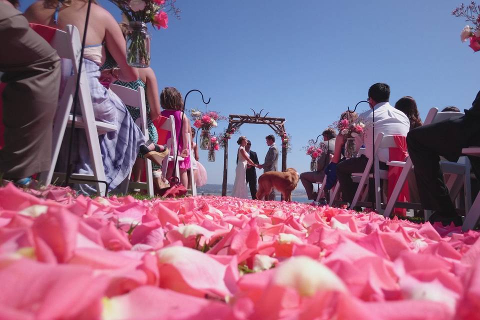 Petals on the aisle