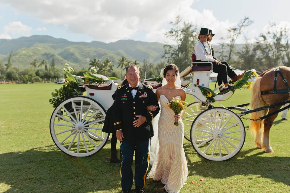 Grand ceremony entrance.