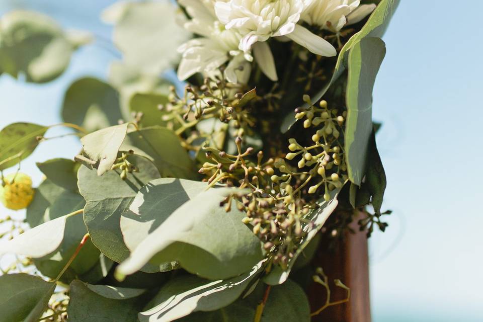 Mango Season Weddings