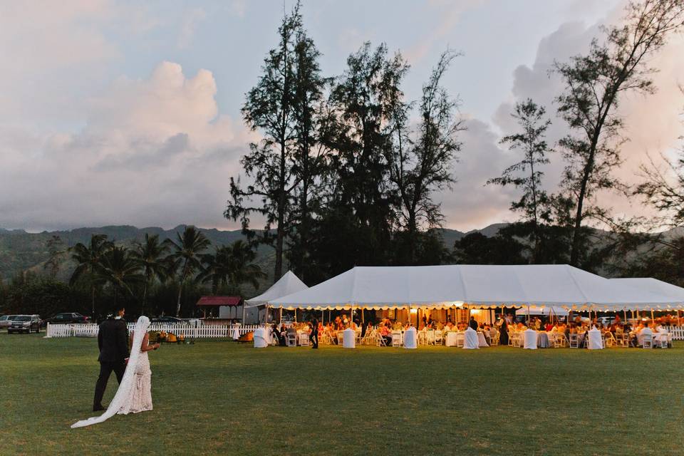 Mango Season Weddings