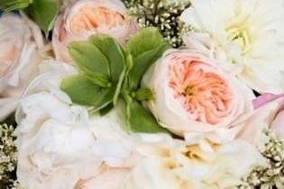 Peach and white flowers