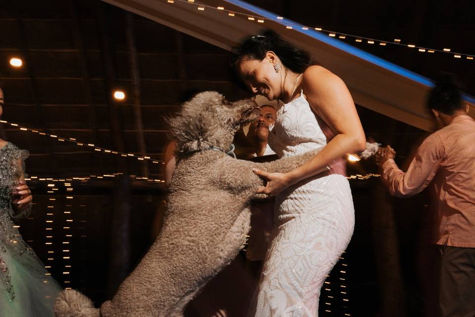 Bride's & dog's dance