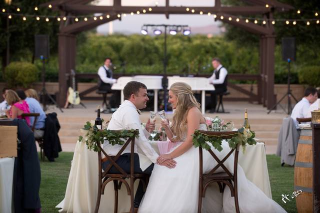 Couple toasting wine
