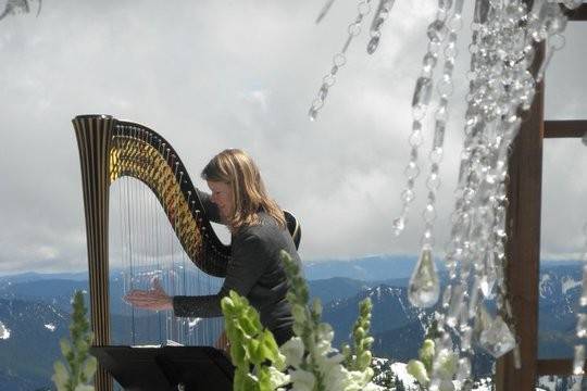 Harp player