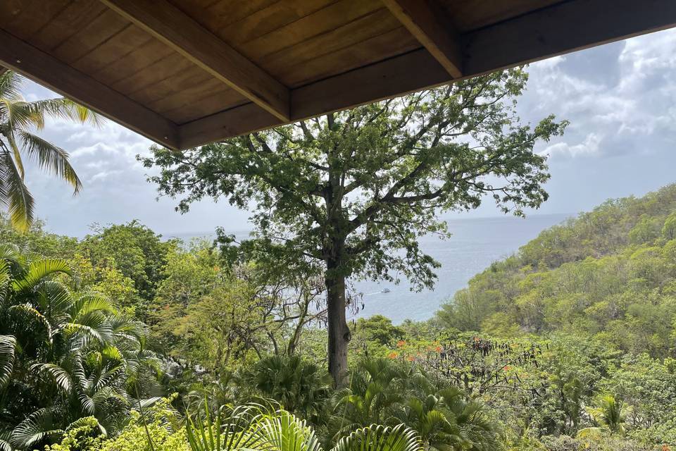 View from bed St. Lucia