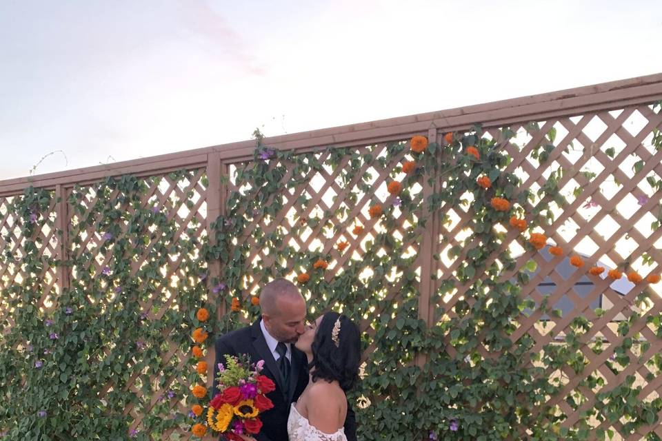 Backyard Wedding