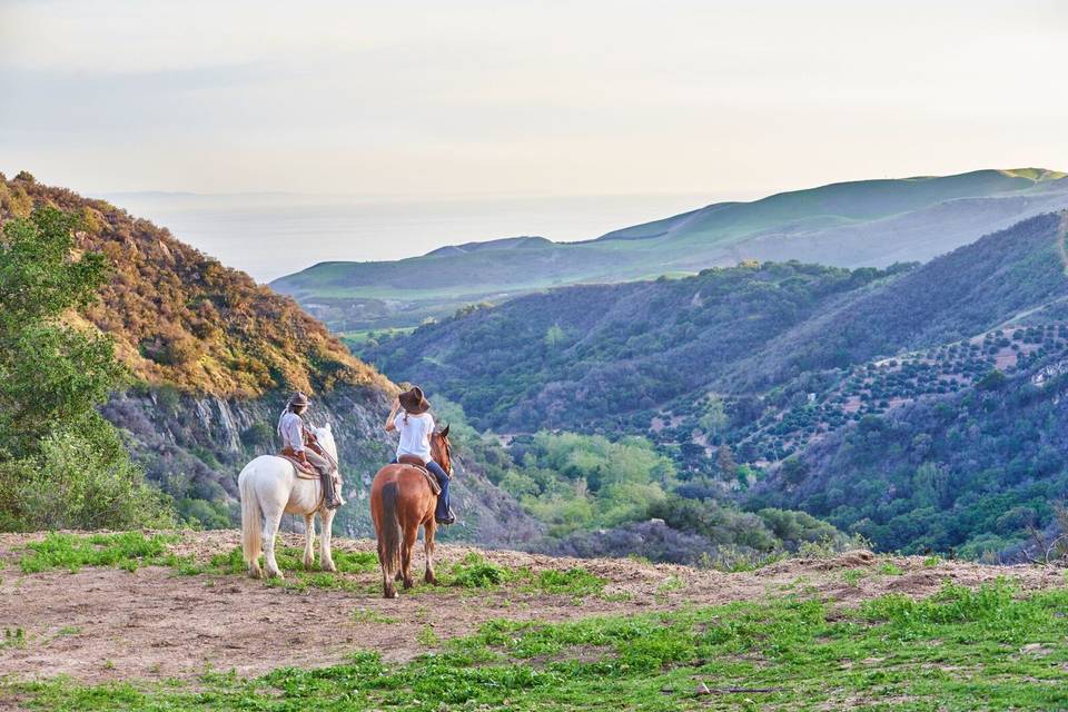 Amazing views at the ranch and horseback riding available