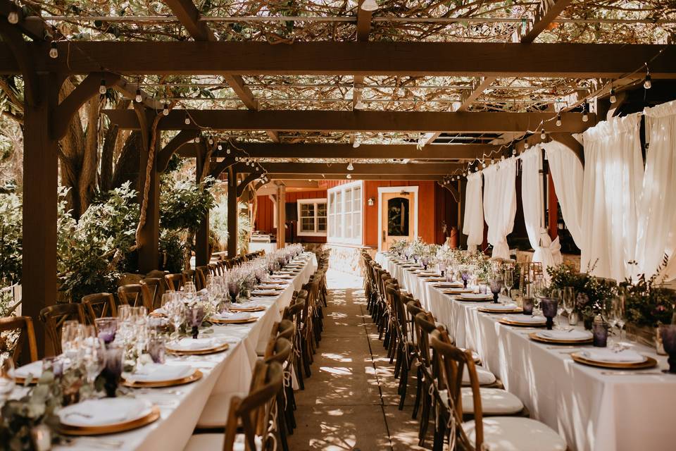 Dining under the pergola