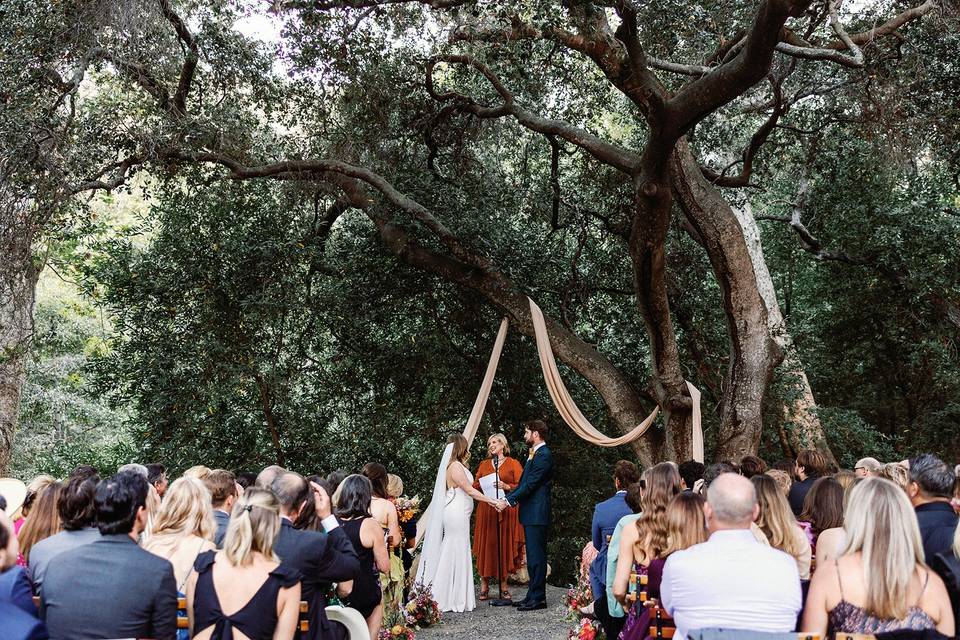 Ceremony Under the Oak Trees