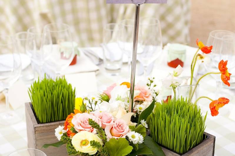 Napa valley custom events