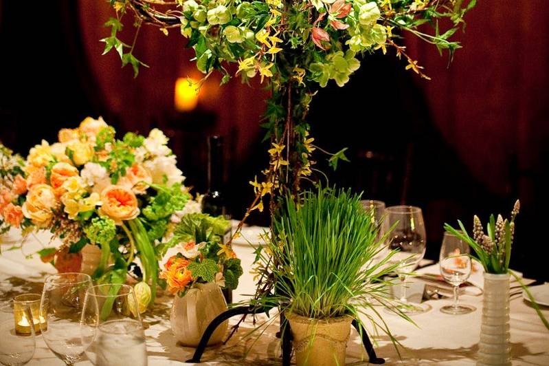 Napa valley custom events