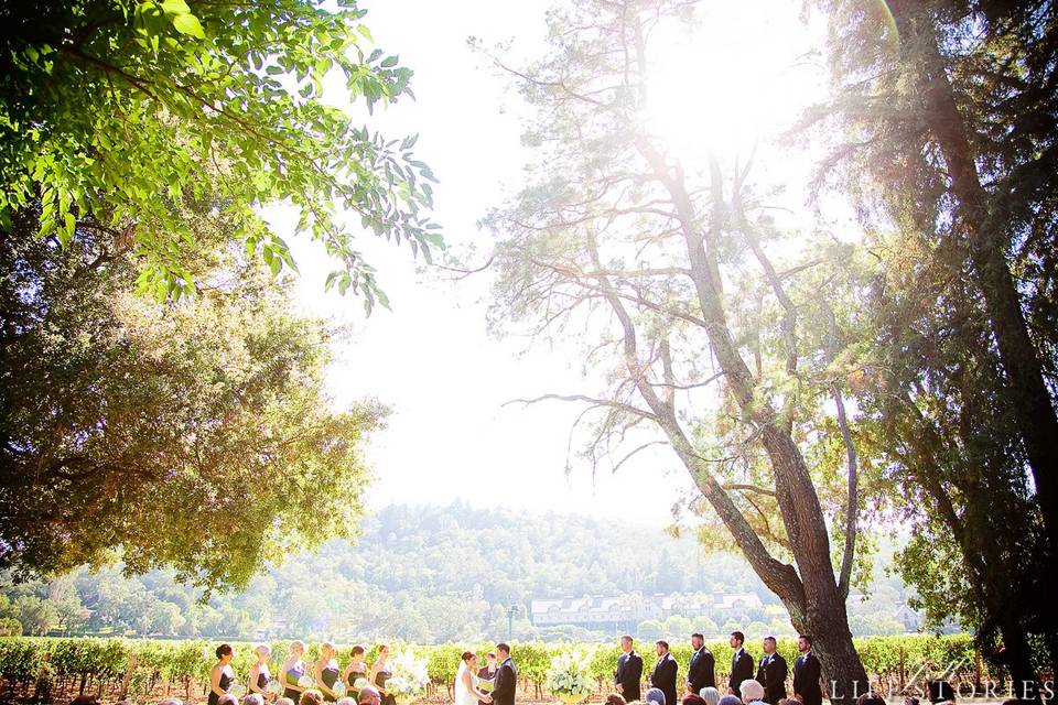 Napa valley custom events