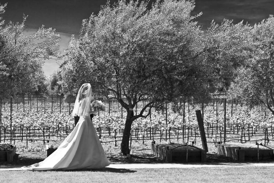 Napa valley custom events